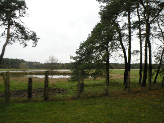 CTF-Permanente Neustaedter Holz 143